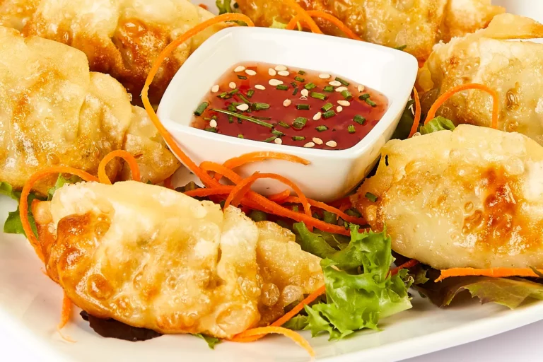 GYOZAS (6 UNDS.)